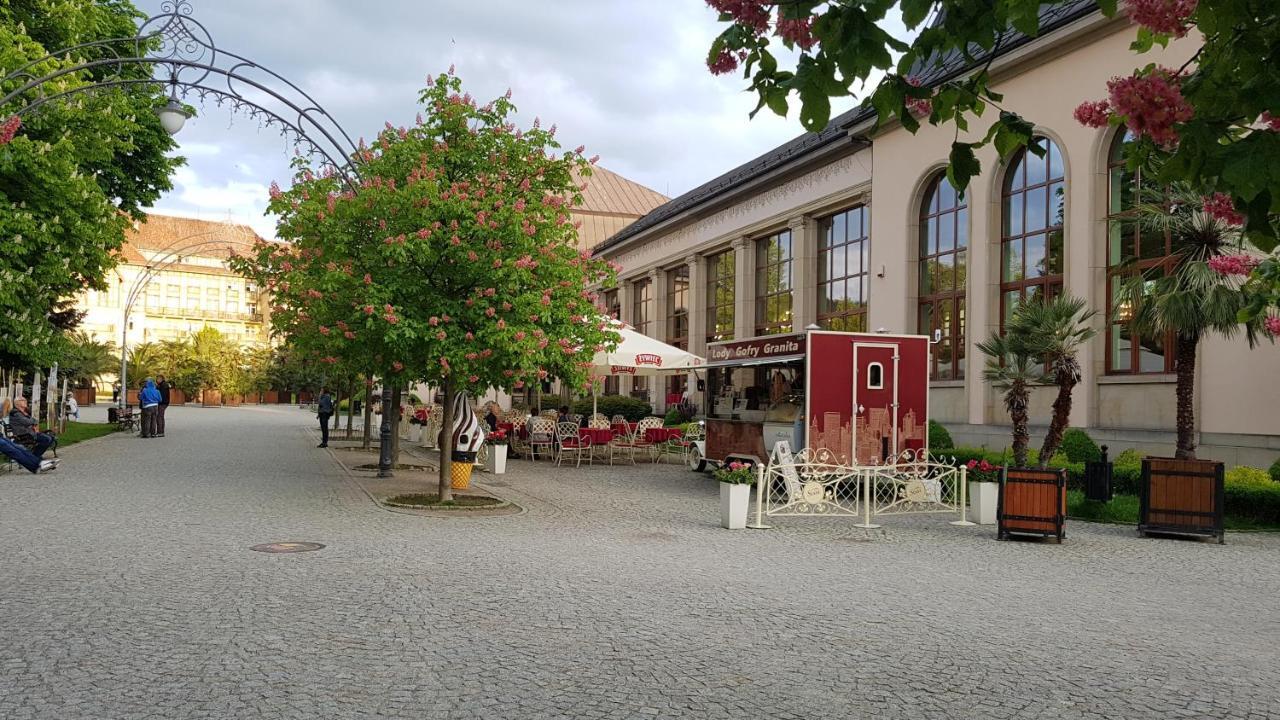 Apartamento Apartamencik Maja Studio Kudowa-Zdrój Exterior foto